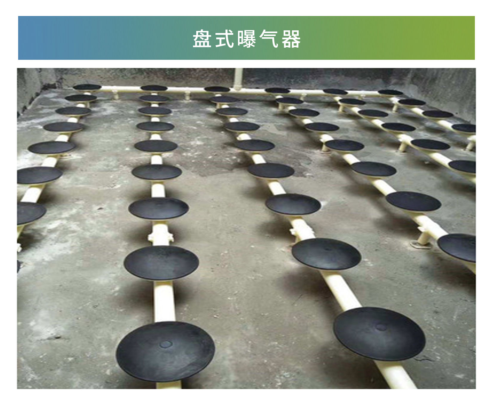 盤式曝氣器
